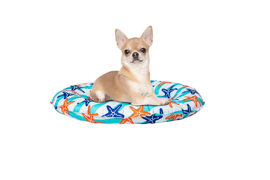 hover image